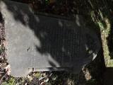 image of grave number 806530